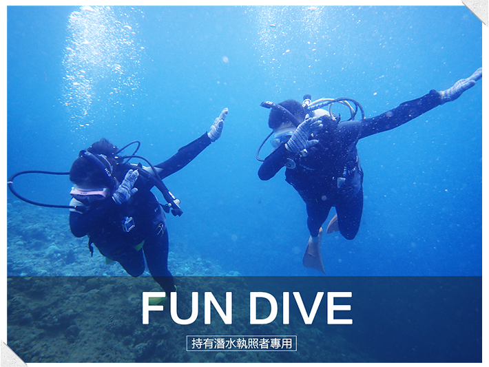 FUN DIVE